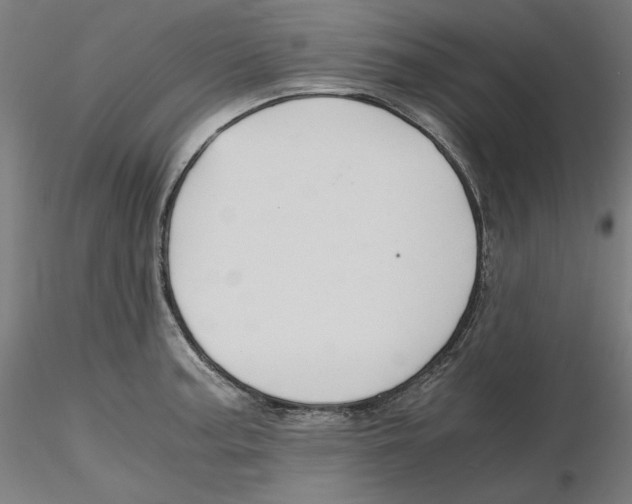 X0000116261187200912291450