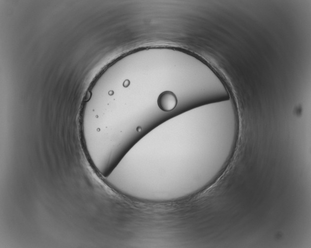 X0000116261189200912291450