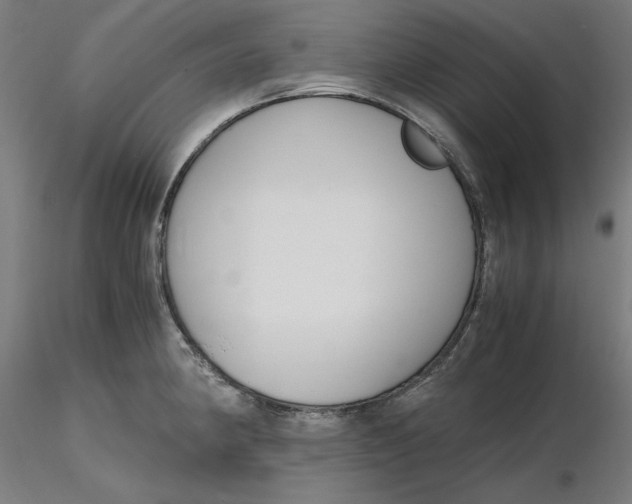 X0000116261190200912291450