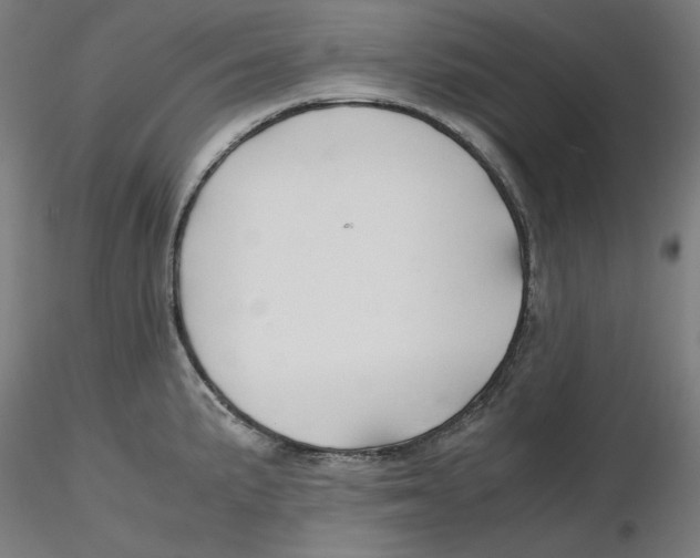 X0000116261191200912291450