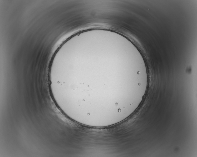 X0000116261192200912291450