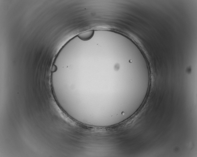 X0000116261194200912291450