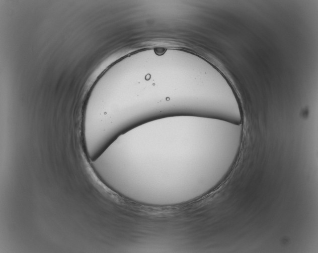 X0000116261195200912291450