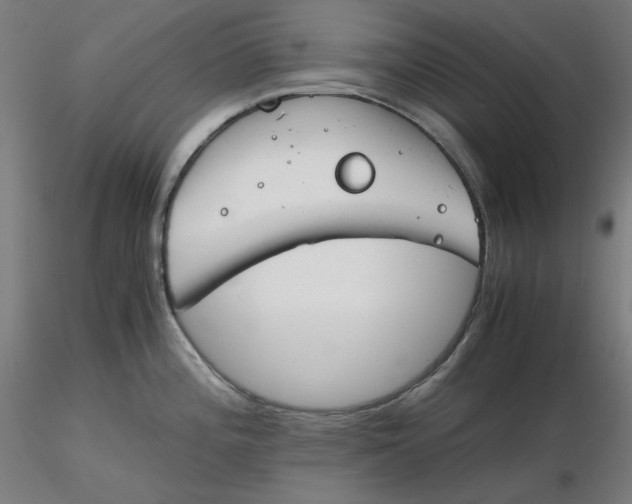 X0000116261196200912291450