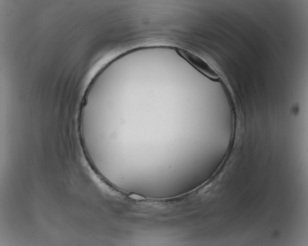 X0000116261197200912291450