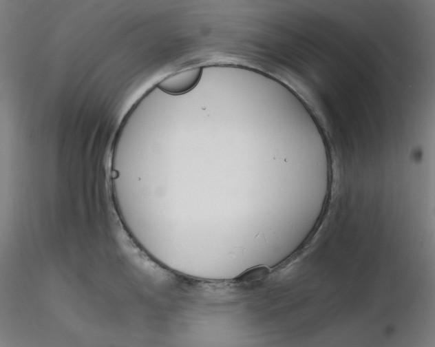 X0000116261198200912291450