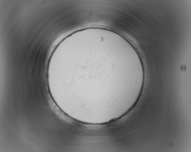 X0000116261200200912291450