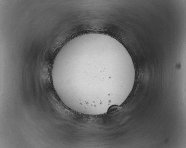 X0000116261202200912291449