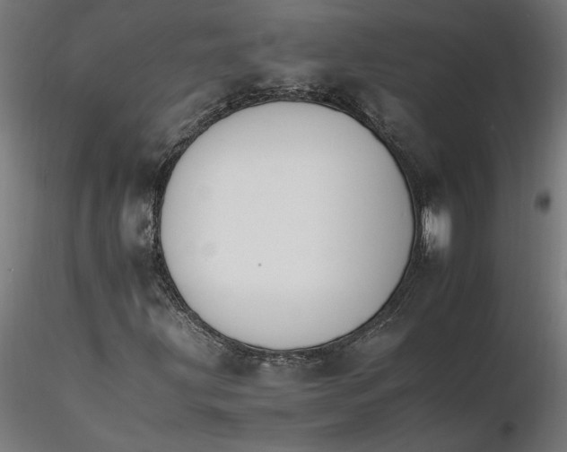 X0000116261203200912291449