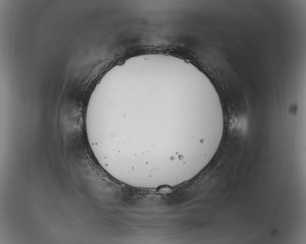 X0000116261204200912291449