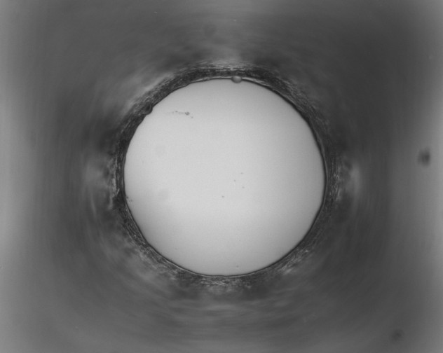 X0000116261205200912291449
