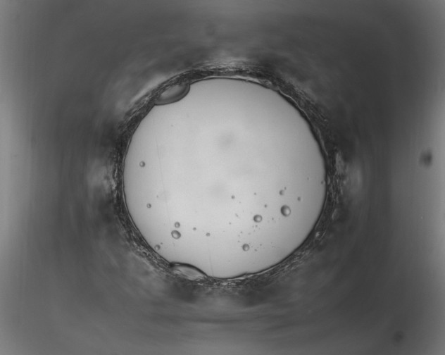 X0000116261206200912291449