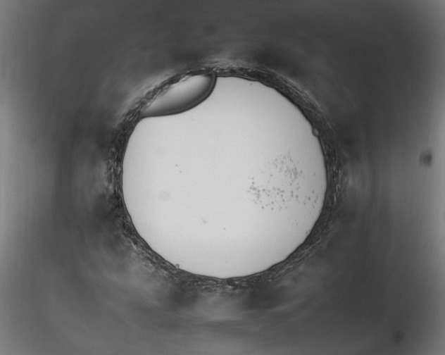 X0000116261207200912291449