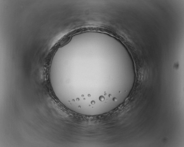X0000116261208200912291449