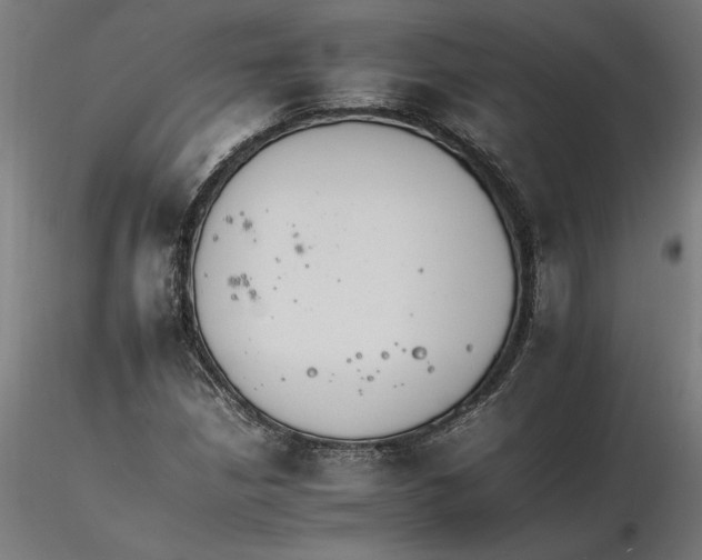 X0000116261210200912291449