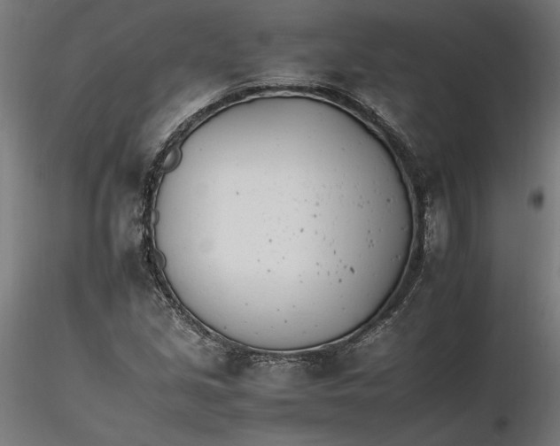 X0000116261213200912291449