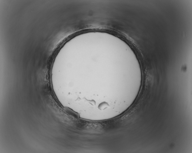 X0000116261215200912291449