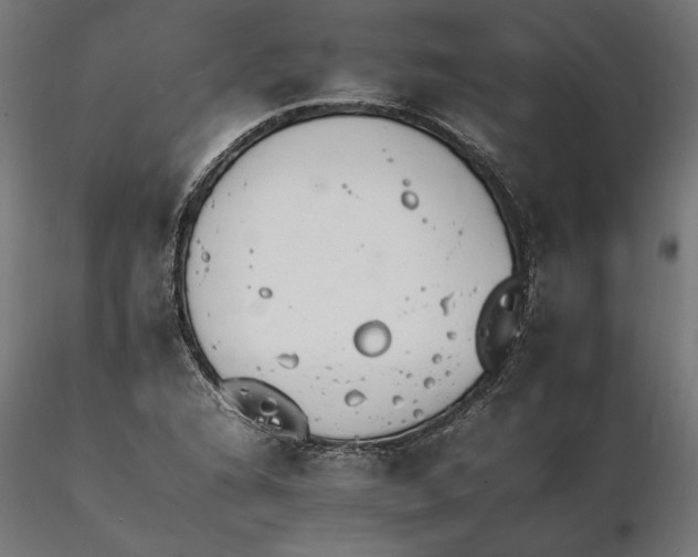 X0000116261216200912291449