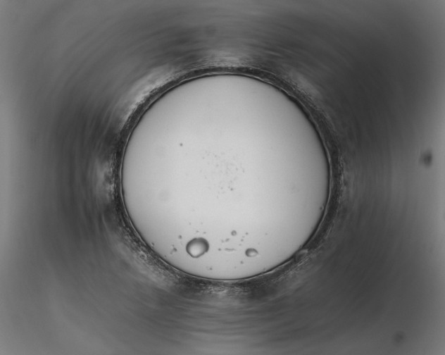X0000116261218200912291449