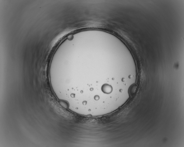 X0000116261222200912291449