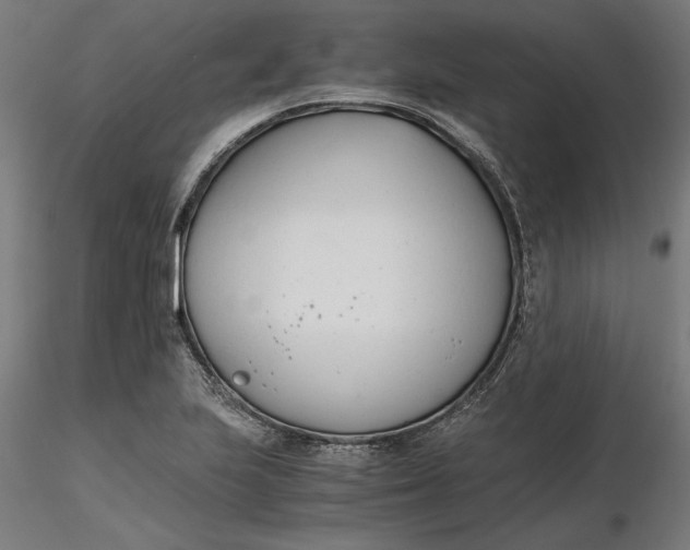X0000116261223200912291449