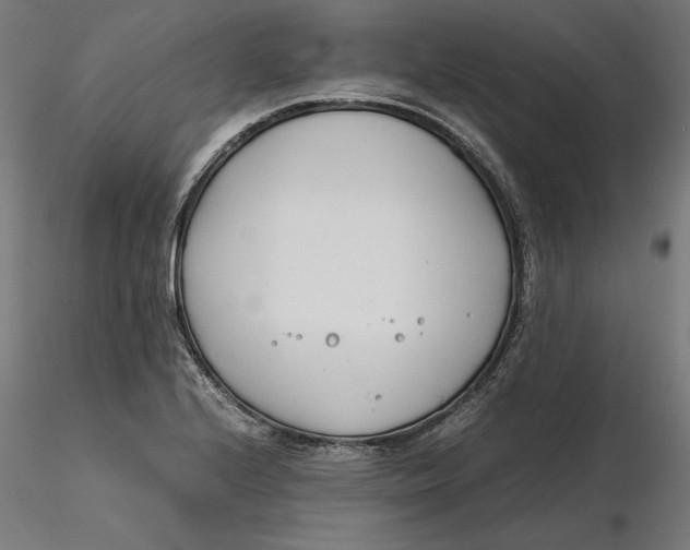 X0000116261224200912291449