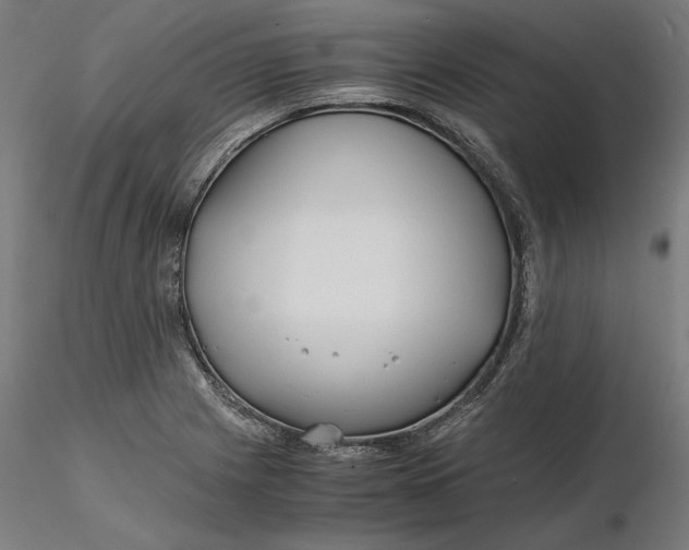 X0000116261225200912291449