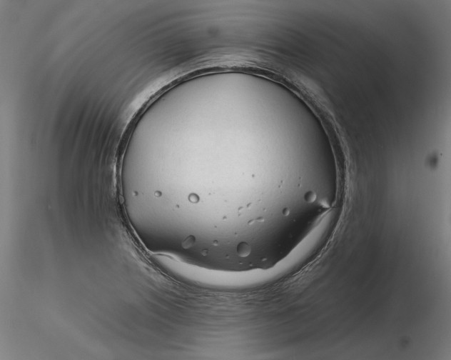 X0000116261226200912291449