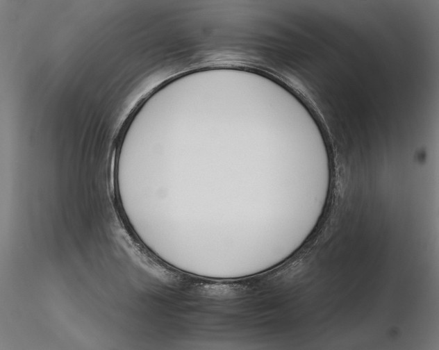 X0000116261227200912291449