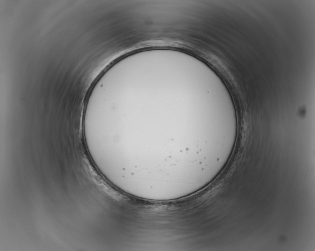 X0000116261228200912291449
