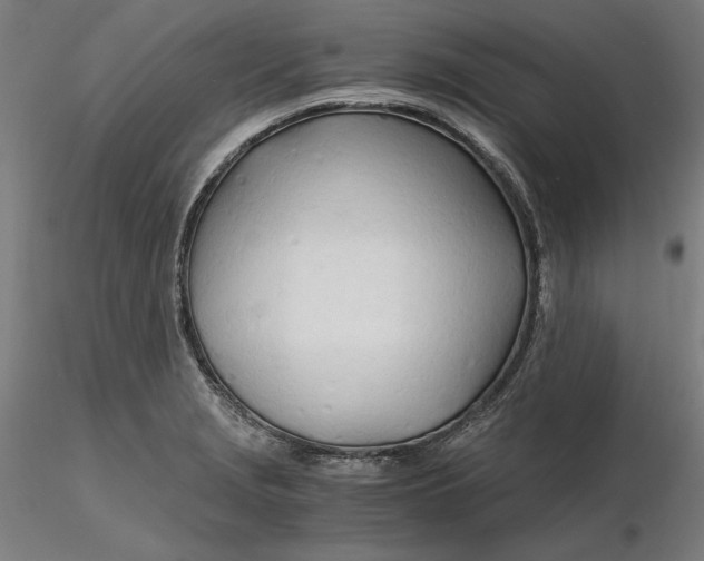 X0000116261229200912291449
