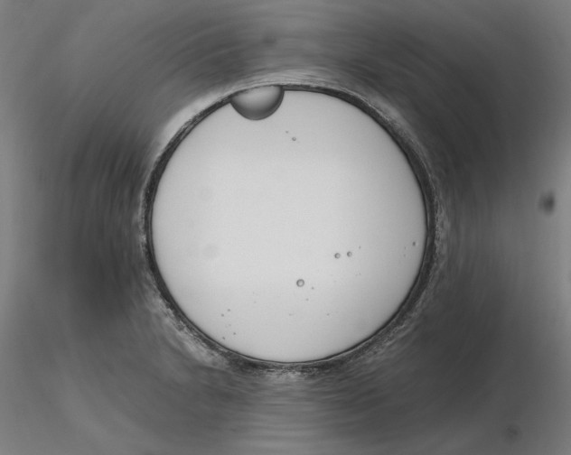 X0000116261230200912291449
