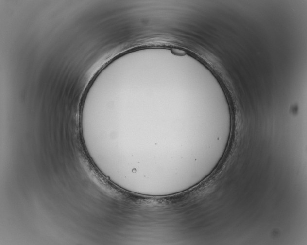 X0000116261234200912291449