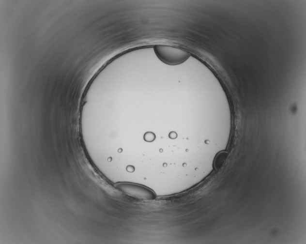 X0000116261236200912291449