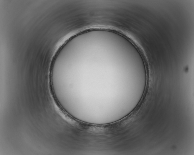 X0000116261237200912291449