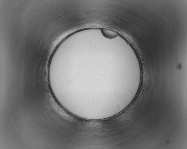 X0000116261238200912291449