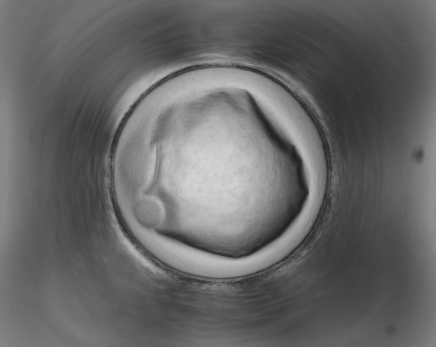 X0000116261239200912291449