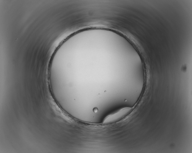 X0000116261240200912291449