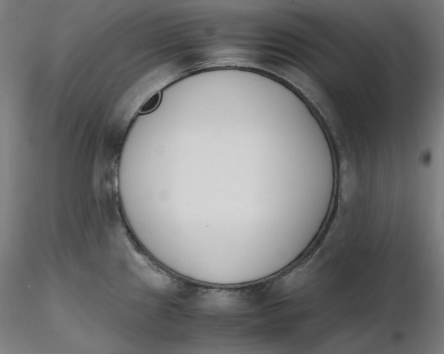 X0000116261241200912291449