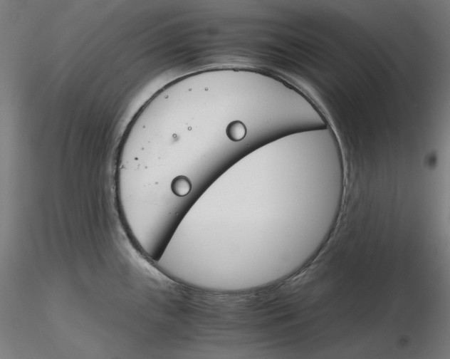 X0000116261243200912291449
