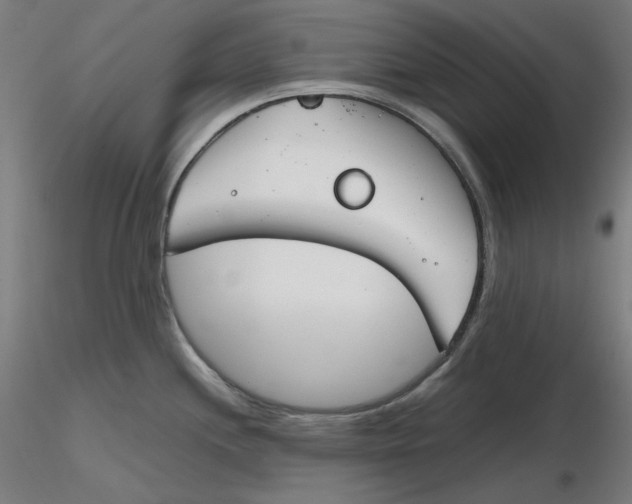 X0000116261244200912291449