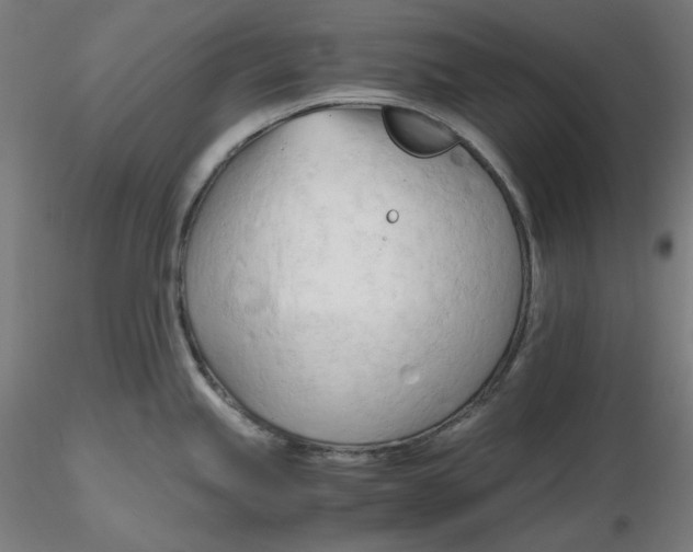 X0000116261245200912291450