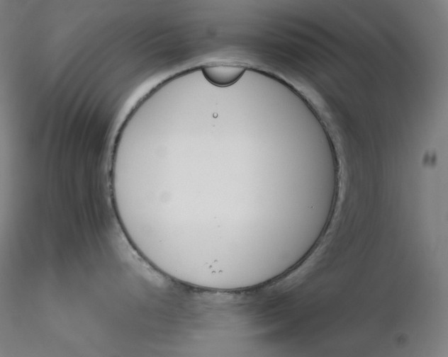 X0000116261248200912291450