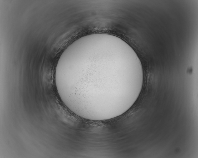 X0000116261250200912291449