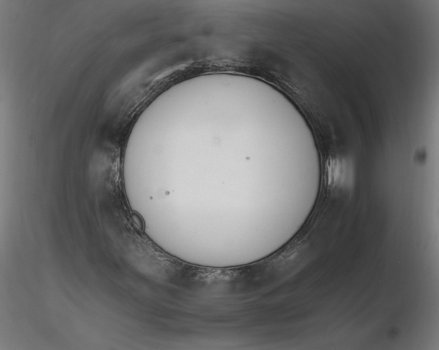 X0000116261251200912291449