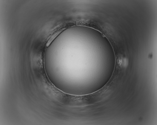 X0000116261252200912291449