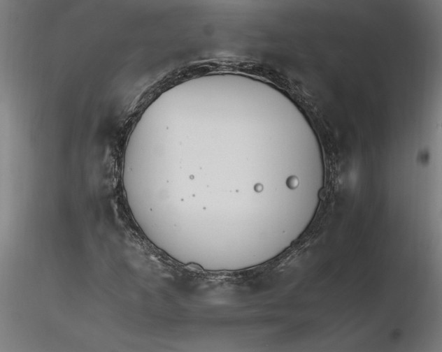 X0000116261253200912291449