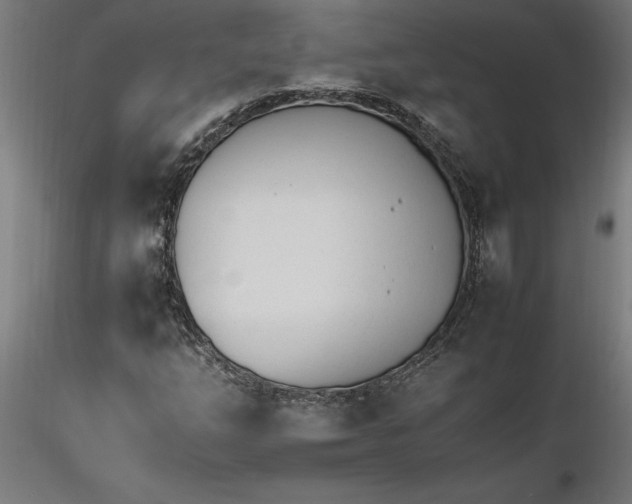 X0000116261254200912291449