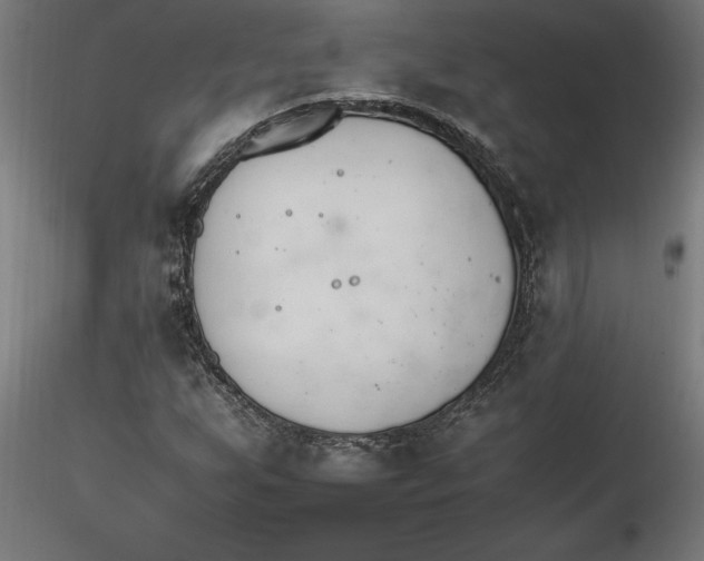 X0000116261255200912291449