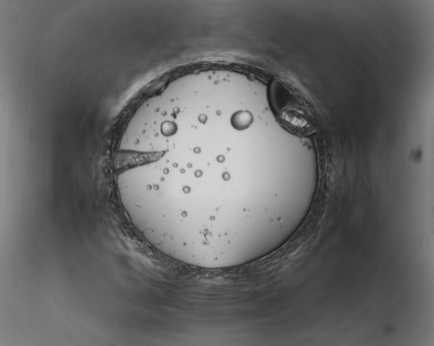 X0000116261256200912291449